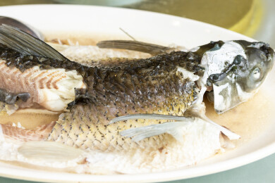 营养鲜美清蒸鲩鱼