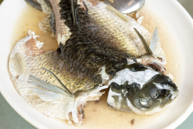 营养鲜美清蒸鲩鱼