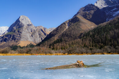 四姑娘山雪山下的冰湖与枯木