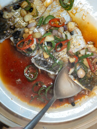 广东传统名菜豉汁蒸鲩鱼特写