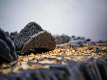 福建省福州市文庙秋日里的传统瓦当与落叶