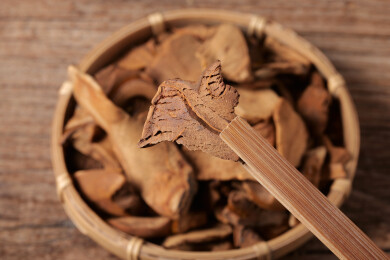 中医中草药饮片烫狗脊