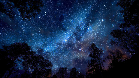 星空下的森林夜景