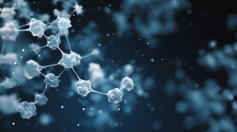 未来科技神经网络可视化