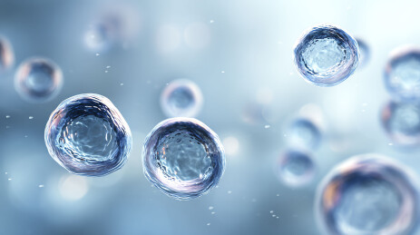 细胞微观世界动态悬浮图