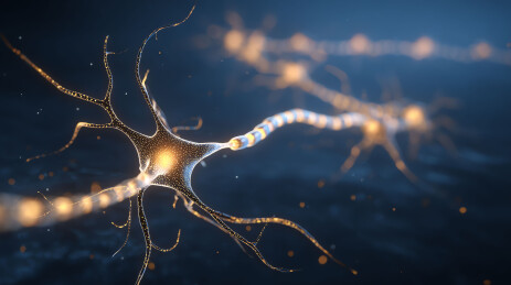 神经元电信号传递的动态艺术图