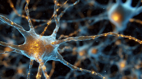 神经元细胞发光传导信号的微观世界