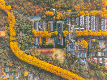 航拍南京明孝陵景区深秋五彩山林