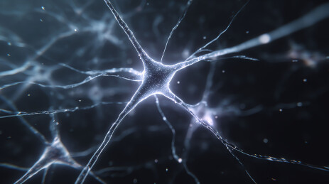 神经元细胞发光传导信号的微观世界