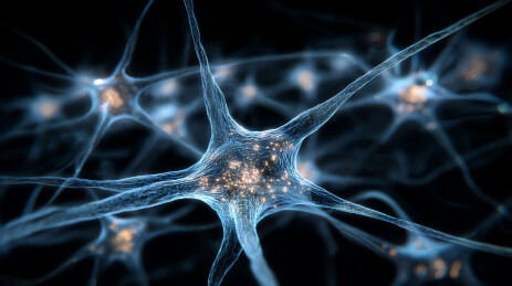 神经元网络发光传导信号