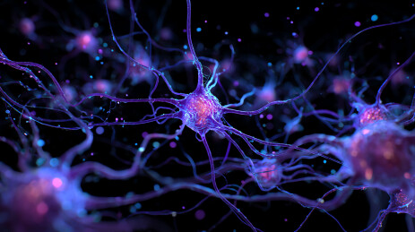 神经元网络发光闪烁的微观世界