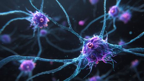 神经元细胞结构艺术化呈现