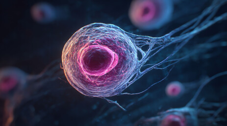 神经元细胞结构艺术渲染图