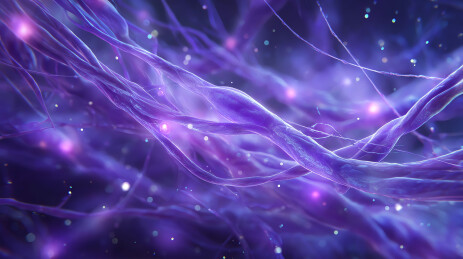 神经元网络闪烁紫光的微观世界