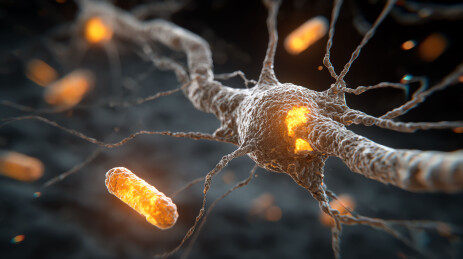 神经元电信号传递过程可视化