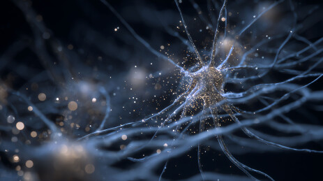 神经元电信号传递的微观世界