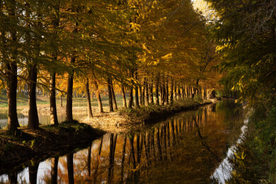 苏州虎丘湿地公园自然风光