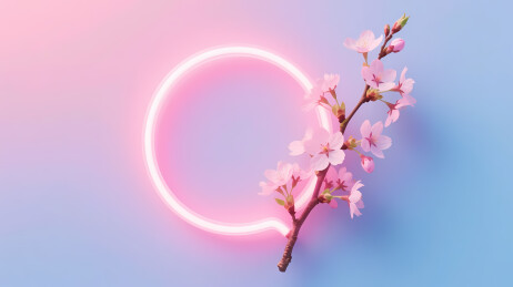 梦幻粉花枝与光环