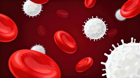 红白细胞微观图像