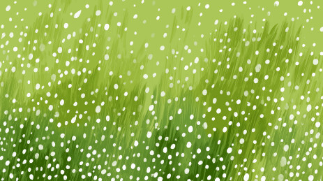 雨点洒落绿草丛中场景