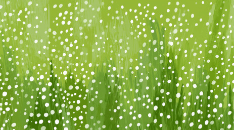 雨点洒落绿草丛中场景