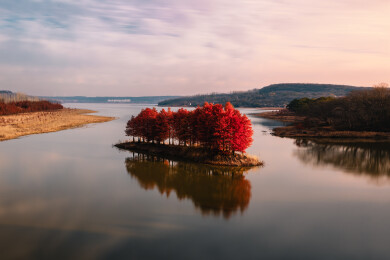 江苏盱眙天泉湖红色落羽杉水杉林秋天景色