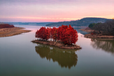 江苏盱眙天泉湖红色落羽杉水杉林秋天景色
