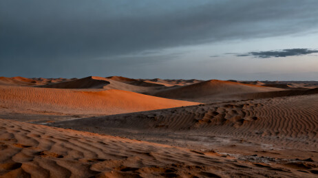 低保和废士风沙丘背景壁纸