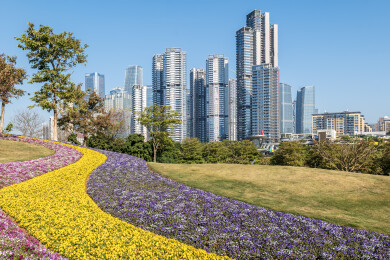 深圳前海摩天高楼与公园白昼风光