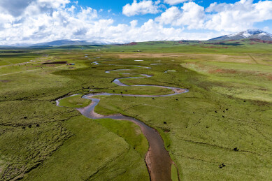 亚洲中国青海玉树治多天然草原牧场夏日风光