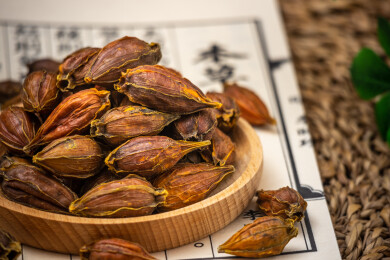 东方传统食品染色天然调料黄栀子干果