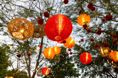 户外节日装饰树上挂着的灯笼