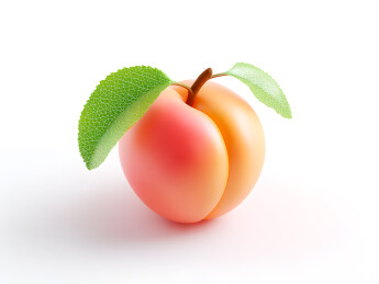 一颗彩色卡通黄杏