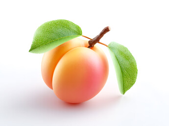 一颗彩色卡通黄杏