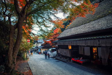日本京都岚山的秋季风光