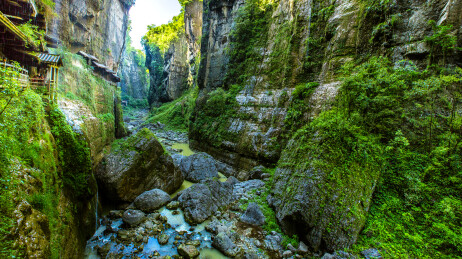 中国湖北省恩施大峡谷云龙地缝景区自然景观