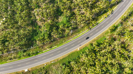 中国海南文昌东郊椰林航拍