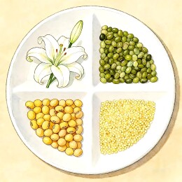 四时食补食材