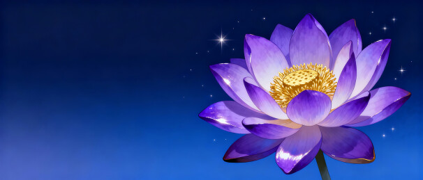 紫色莲花夜空绽放