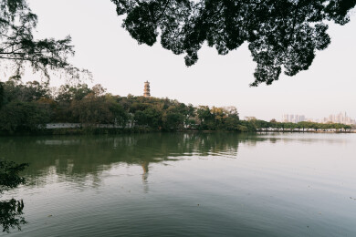 惠州湖畔塔楼绿植倒影，惠州西湖古建筑