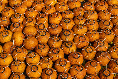 中国广东省江门市新会区茶坑村晒陈皮