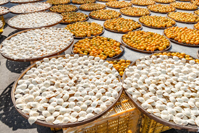 中国广东省江门市新会区新会陈皮村