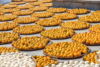 中国广东省江门市新会区新会陈皮村