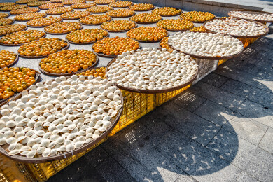 中国广东省江门市新会区新会陈皮村