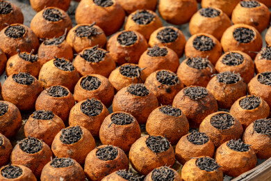 中国广东省江门市新会区新会陈皮村