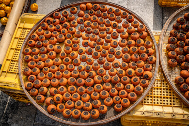 中国广东省江门市新会区新会陈皮村