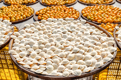 中国广东省江门市新会区新会陈皮村