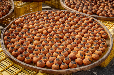 中国广东省江门市新会区新会陈皮村