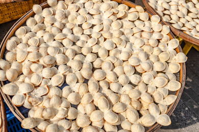 中国广东省江门市新会区新会陈皮村