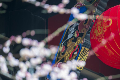 青羊宫龙纹灯笼配梅花节庆场景